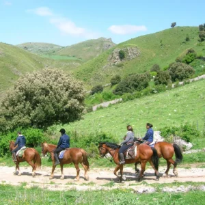Sikani Horse Trek - Sicilia - Monte ndisi