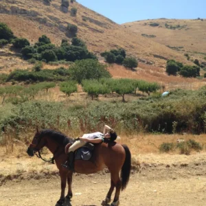 Sikani Horse Trek - Sicilia - Monte ndisi