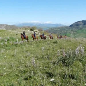 Sikani Horse Trek - Sicilia - Monte ndisi