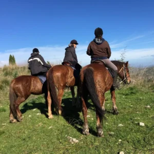 Sikani Horse Trek - Sicilia - Monte ndisi