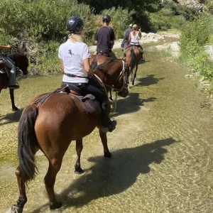 Sikani Horse Trek Sicilia - Rotta Sicana