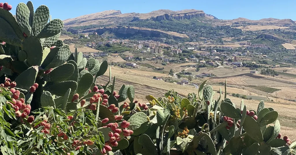 Sikani Horse Trek Sicilia - Rotta Sicana