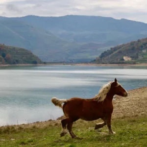 Sikani Horse Trek - Sicilia - Lago Raia