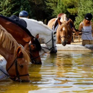 Sikani Horse Trek - Sicilia - Monte Carcaci