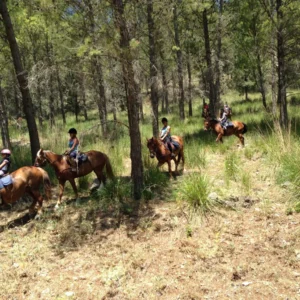 Sikani Horse Trek - Sicilia - Monte Scuro