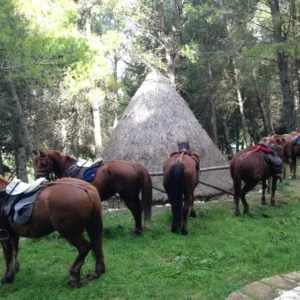 Sikani Horse Trek - Sicilia - Monte Carcaci