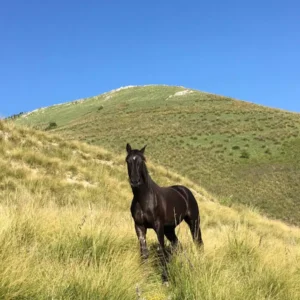 Sikani Horse Trek - Sicilia - Palazzo Adriano - Permiano del Sosio