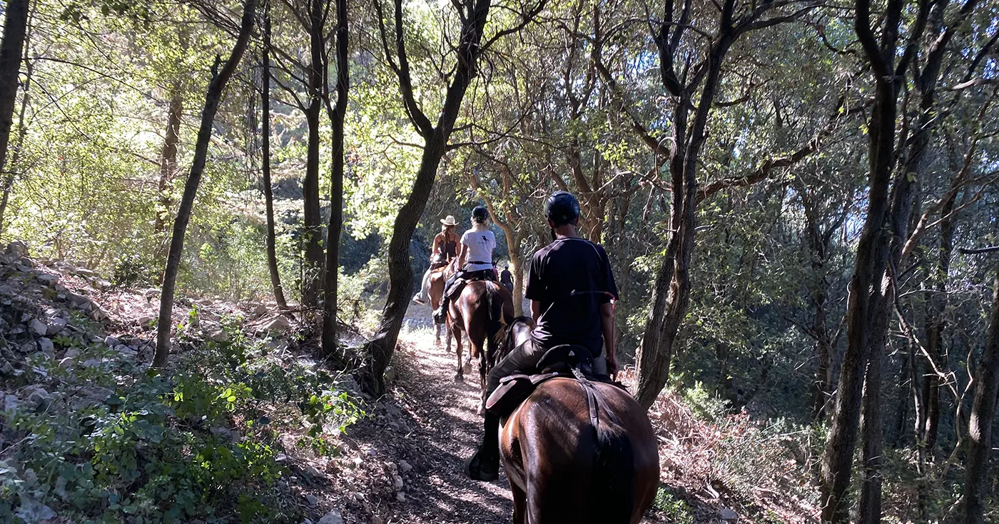 Sikani Horse Trek Sicily - Monti Sicani woods