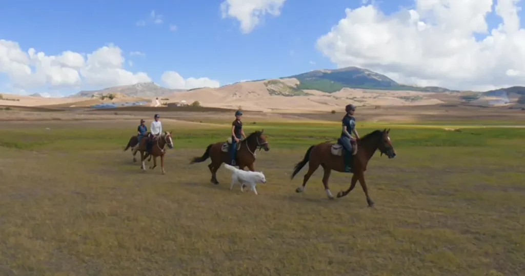 Horse riding and culture in Sicily