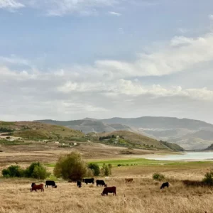 Sikani Horse Trek - Sicilia - equitazione e cultura