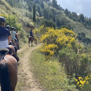 Sikani Horse Trek - Sicilia - equitazione e cultura