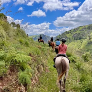 Sikani Horse Trek - Sicilia - equitazione e yoga