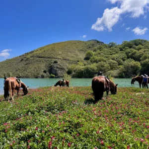 Sikani Horse Trek - Sicilia - equitazione e yoga