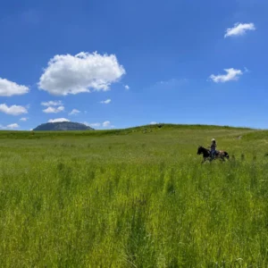 Sikani Horse Trek - Sicilia - equitazione e yoga